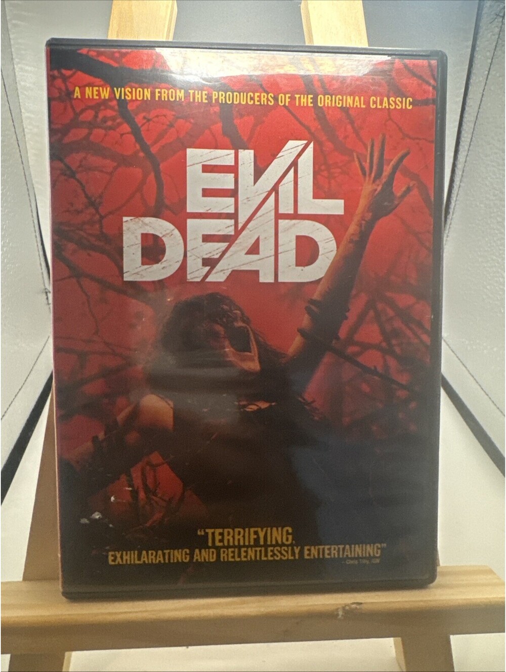 Evil Dead (DVD, Widescreen) Jane Levy Lou Taylor Pucci Jessica Lucas 2013
